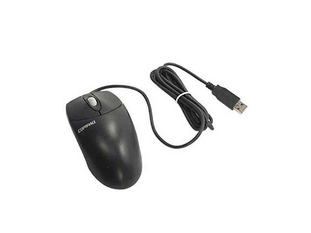 HPE 537749-001 muis Kantoor USB Type-A Optisch