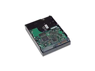 HP 250 GB Serial ATA/150 Hard Drive
