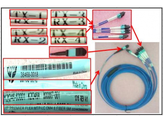 HPE Premier Flex Multi Fiber Push On to 4 x Lucent Connector 5m Cable