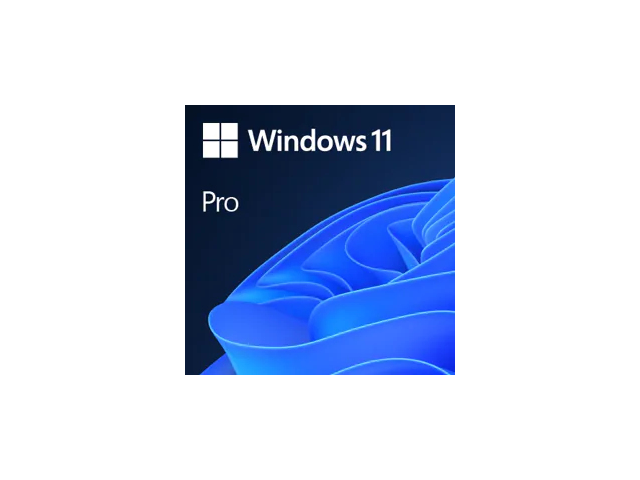 Microsoft Windows 11 Professional 64-bit (Multilingual, ESD) 1 license