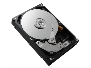 DELL DPTW9 interne harde schijf 3 TB 7200 RPM 3.5" SAS