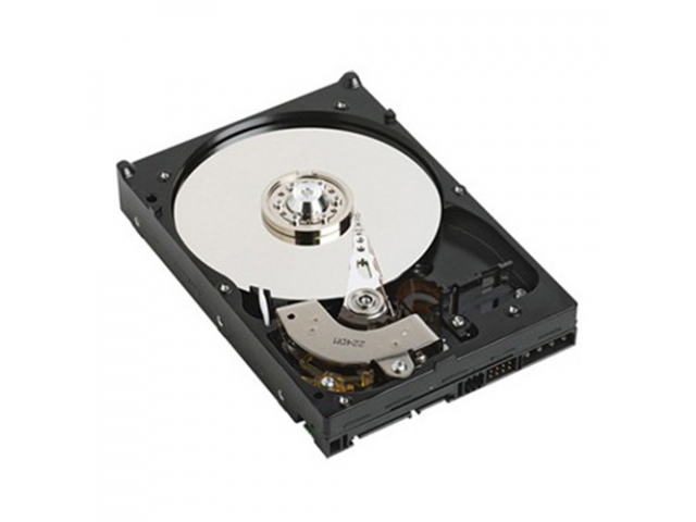 DELL 1TB SATA interne harde schijf 7200 RPM