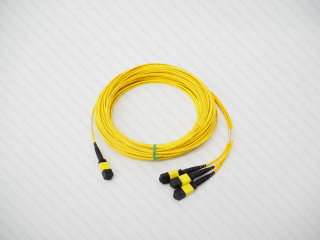 P16156-001 HPE 24 fiber MPO to 3x12 fiber MPO Single-mode 20 m Cable