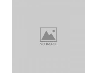 HP MSA 2TB 12G SAS 7.2K SFF (2.5in) 512e Midline 1yr Warranty Hard Drive internal hard drive